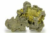 Golden Pyrite on Limonite Clay - Pakistan #283724-1